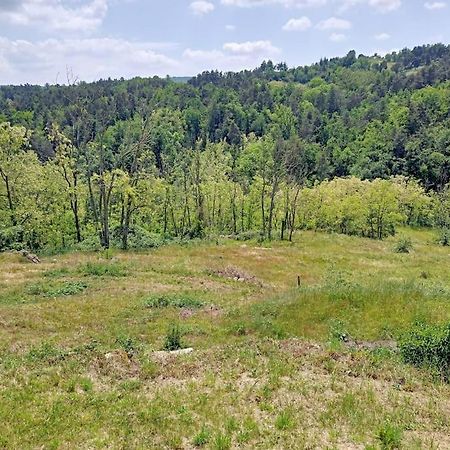 Ecrin De Verdure En Ardeche Verte Colombier-le-Vieux 外观 照片