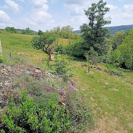 Ecrin De Verdure En Ardeche Verte Colombier-le-Vieux 外观 照片
