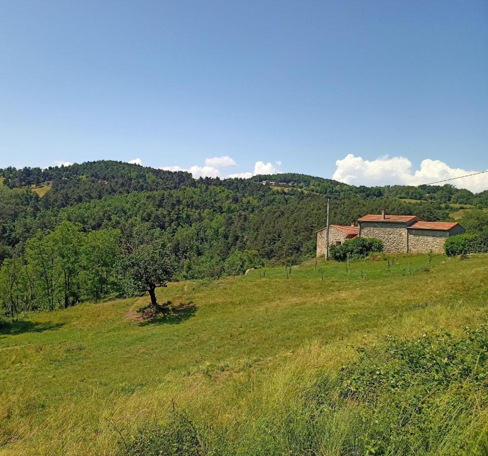 Ecrin De Verdure En Ardeche Verte Colombier-le-Vieux 外观 照片
