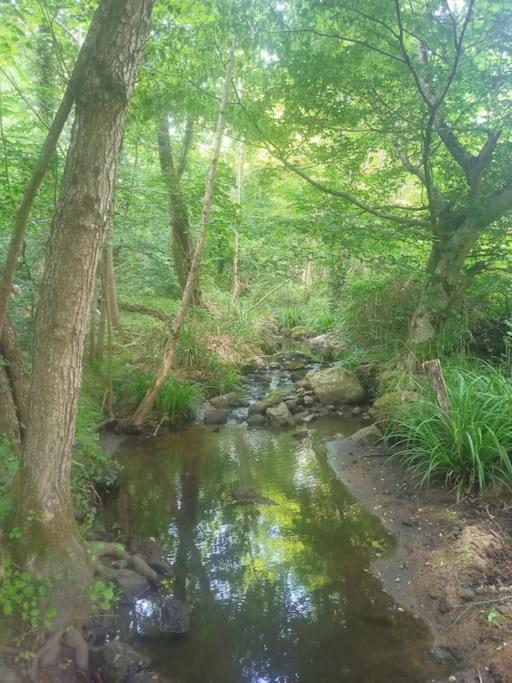 Ecrin De Verdure En Ardeche Verte Colombier-le-Vieux 外观 照片