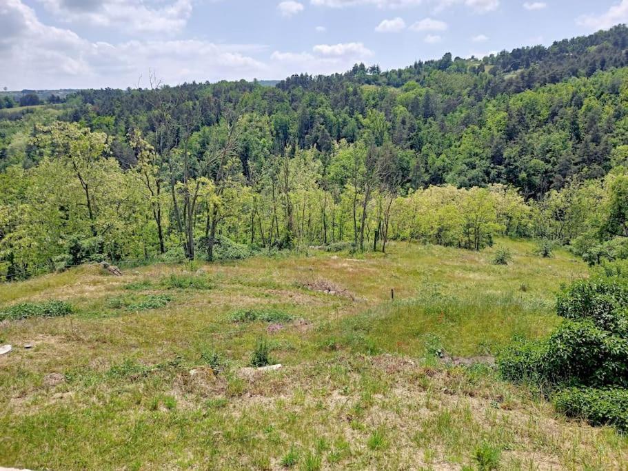 Ecrin De Verdure En Ardeche Verte Colombier-le-Vieux 外观 照片