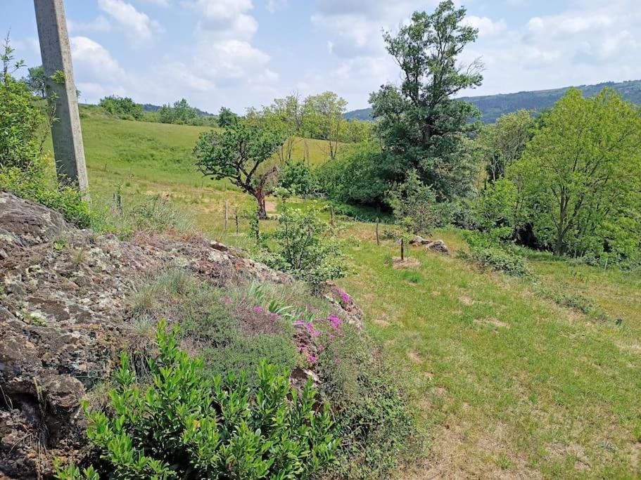 Ecrin De Verdure En Ardeche Verte Colombier-le-Vieux 外观 照片